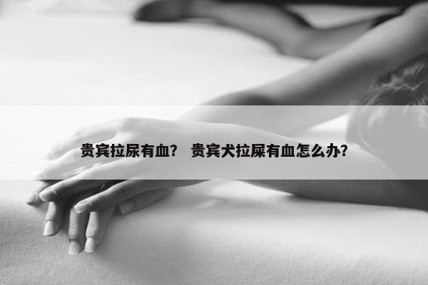 贵宾拉尿有血？ 贵宾犬拉屎有血怎么办？