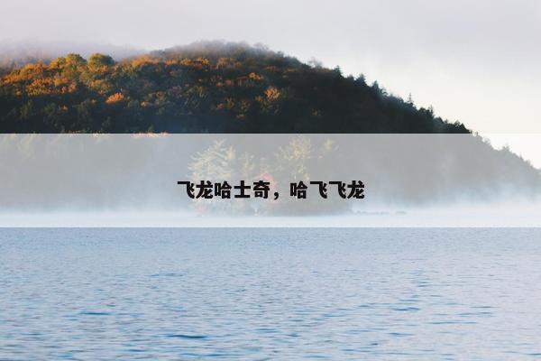 飞龙哈士奇,哈飞飞龙