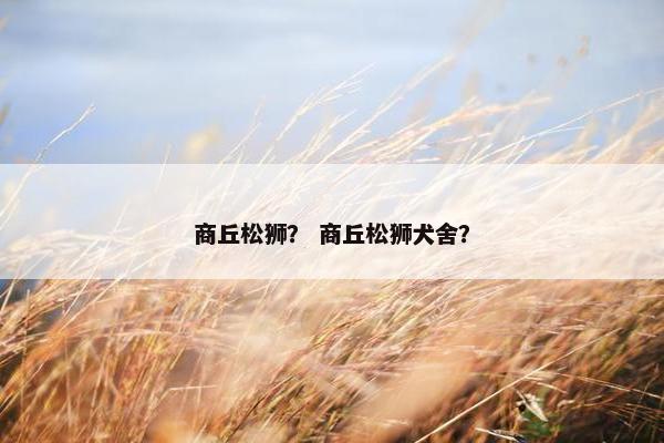 单县