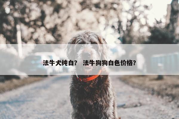 法牛犬纯白？ 法牛狗狗白色价格？
