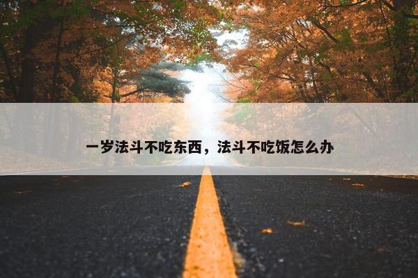 一岁法斗不吃东西,法斗不吃饭怎么办