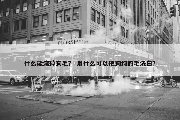 什么能溶掉狗毛？ 用什么可以把狗狗的毛洗白？