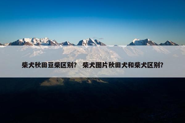 柴犬秋田豆柴区别？ 柴犬图片秋田犬和柴犬区别？