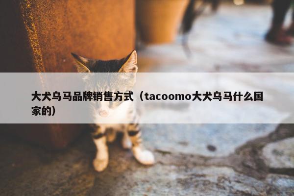 大犬乌马品牌销售方式(tacoomo大犬乌马什么国家的)