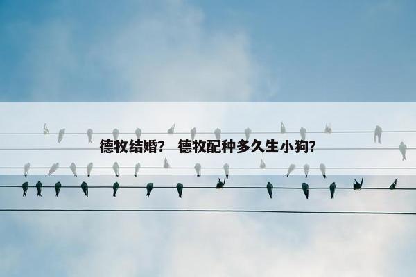 德牧结婚？ 德牧配种多久生小狗？