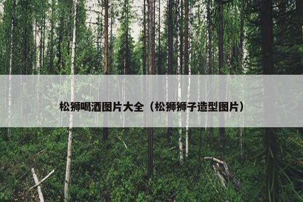 新星