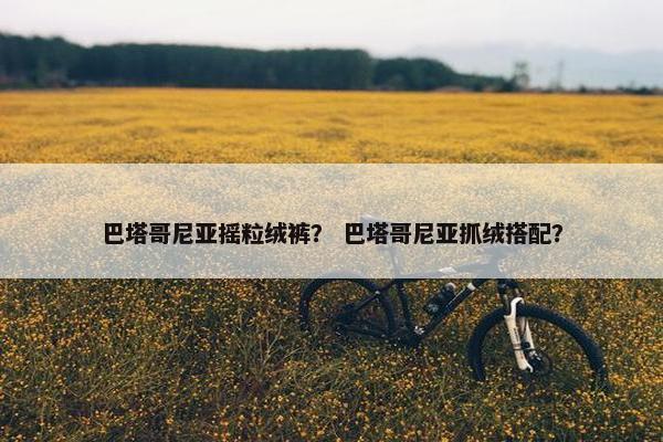 巴塔哥尼亚摇粒绒裤？ 巴塔哥尼亚抓绒搭配？