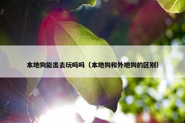 本地狗能出去玩吗吗（本地狗和外地狗的区别）