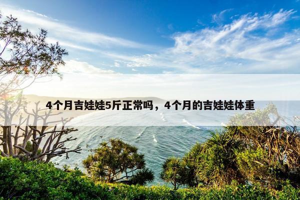 4个月吉娃娃5斤正常吗，4个月的吉娃娃体重