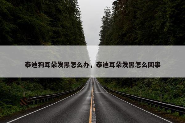 泰迪狗耳朵发黑怎么办，泰迪耳朵发黑怎么回事