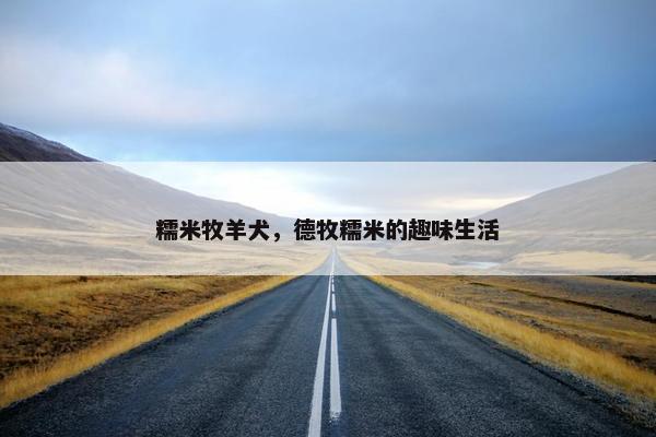 糯米牧羊犬，德牧糯米的趣味生活