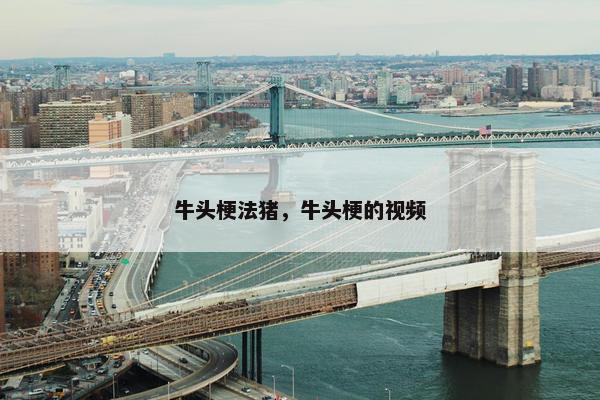 牛头梗法猪,牛头梗的视频
