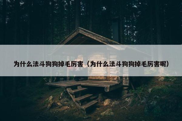 为什么法斗狗狗掉毛厉害（为什么法斗狗狗掉毛厉害呢）
