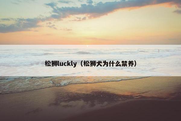 松狮luckly（松狮犬为什么禁养）
