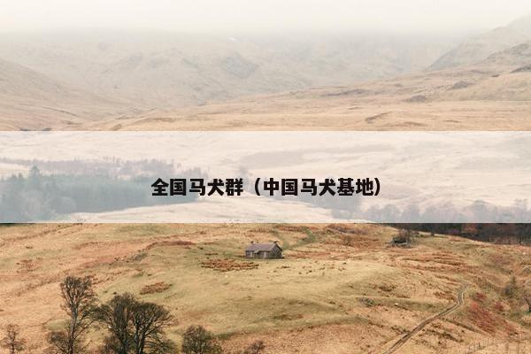 全国马犬群（中国马犬基地）