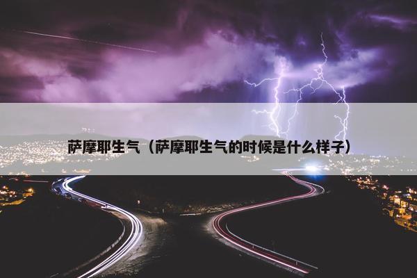 萨摩耶生气（萨摩耶生气的时候是什么样子）