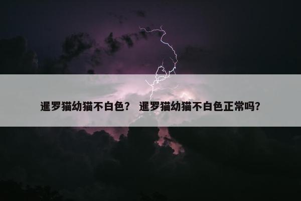 暹罗猫幼猫不白色? 暹罗猫幼猫不白色正常吗?