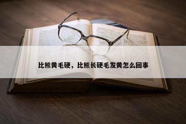 比熊黄毛硬，比熊长硬毛发黄怎么回事
