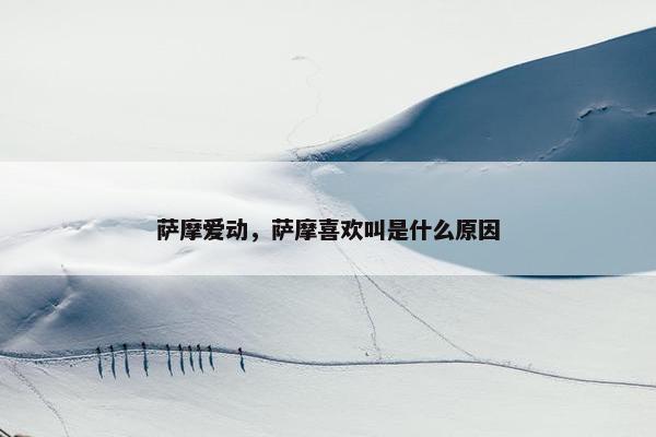萨摩爱动，萨摩喜欢叫是什么原因