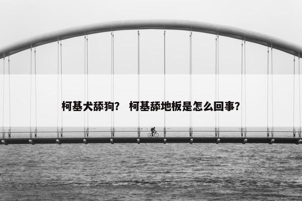 柯基犬舔狗? 柯基舔地板是怎么回事?