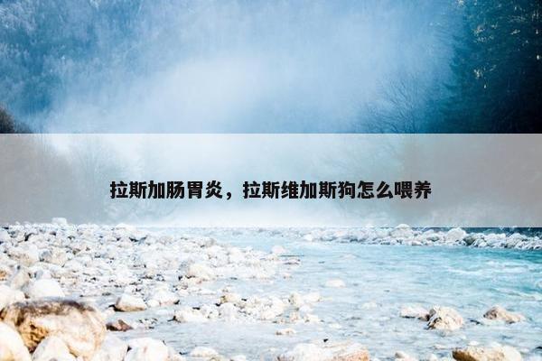 拉斯加肠胃炎,拉斯维加斯狗怎么喂养