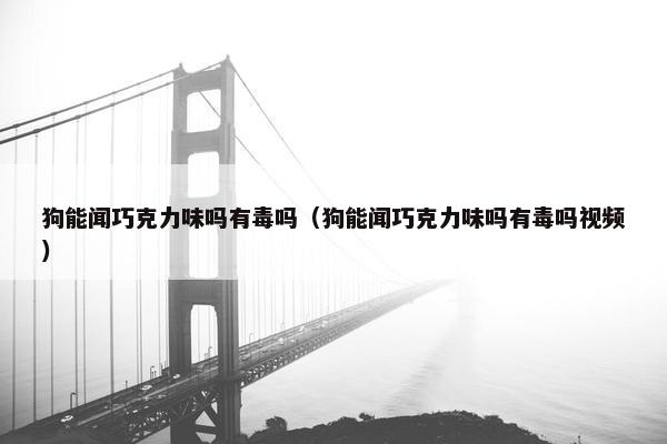 狗能闻巧克力味吗有毒吗（狗能闻巧克力味吗有毒吗视频）