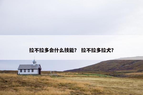 拉不拉多会什么技能？ 拉不拉多拉犬？