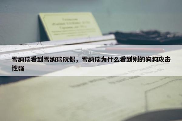 雪纳瑞看到雪纳瑞玩偶，雪纳瑞为什么看到别的狗狗攻击性强