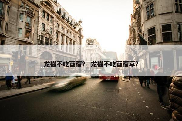 龙猫不吃苜蓿？ 龙猫不吃苜蓿草？