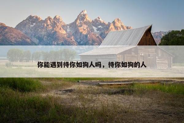 如命