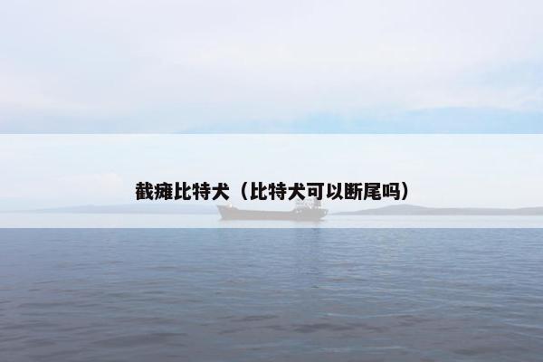截瘫比特犬（比特犬可以断尾吗）
