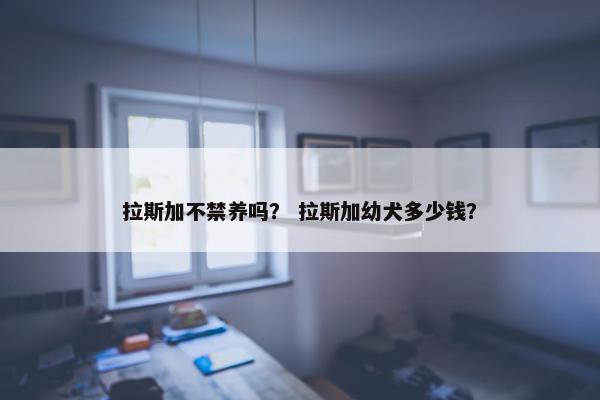 拉斯加不禁养吗？ 拉斯加幼犬多少钱？