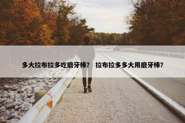 多大拉布拉多吃磨牙棒？ 拉布拉多多大用磨牙棒？