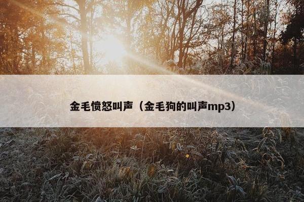 金毛愤怒叫声（金毛狗的叫声mp3）