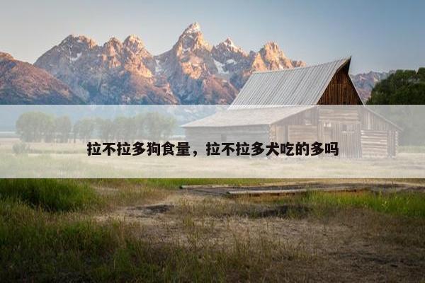 拉不拉多狗食量，拉不拉多犬吃的多吗