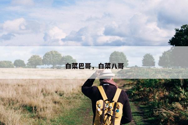 白菜巴哥，白菜八哥