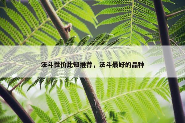 法斗性价比知推荐，法斗最好的品种