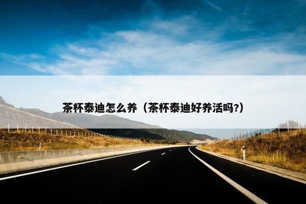 茶杯泰迪怎么养（茶杯泰迪好养活吗?）