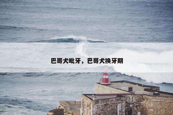 巴哥犬毗牙，巴哥犬换牙期