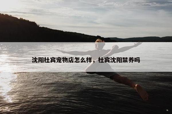 沈阳杜宾宠物店怎么样，杜宾沈阳禁养吗