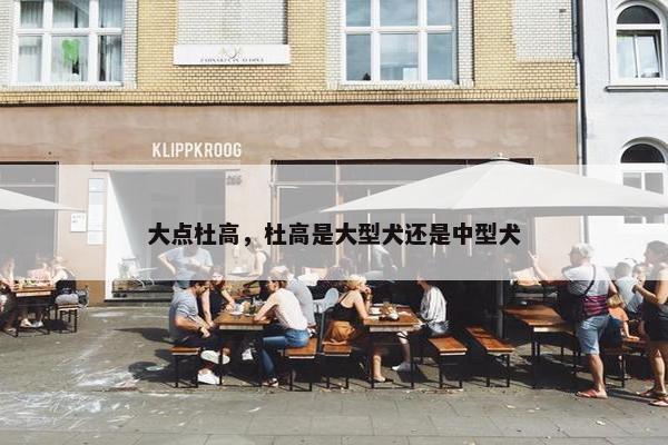 大点杜高，杜高是大型犬还是中型犬