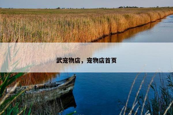 武宠物店，宠物店首页