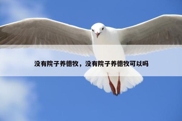 没有院子养德牧,没有院子养德牧可以吗