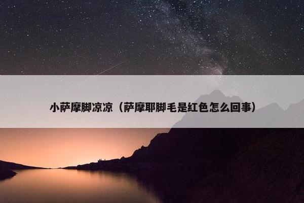 小萨摩脚凉凉（萨摩耶脚毛是红色怎么回事）