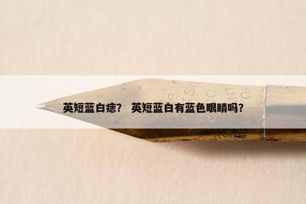 英短蓝白痣? 英短蓝白有蓝色眼睛吗?