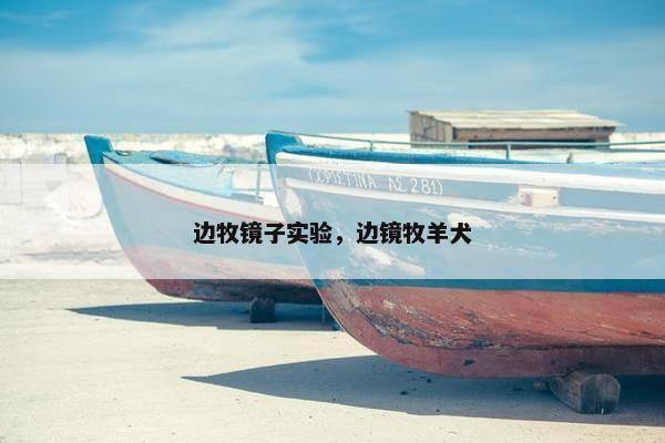 边牧镜子实验，边镜牧羊犬