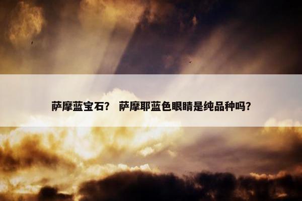 萨摩蓝宝石？ 萨摩耶蓝色眼睛是纯品种吗？