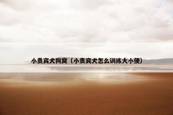 小贵宾犬狗窝（小贵宾犬怎么训练大小便）