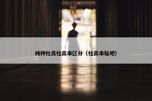 纯种杜高杜高串区分（杜高串贴吧）