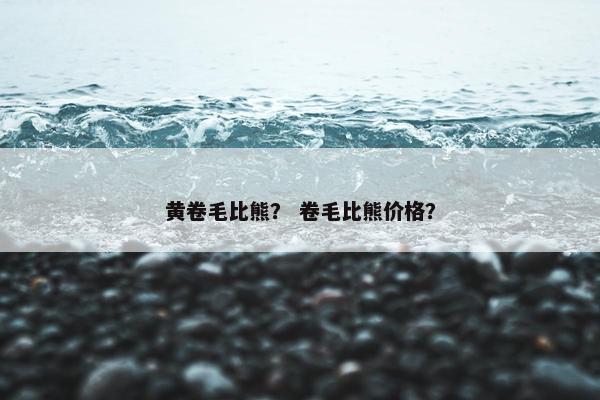 黄卷毛比熊？ 卷毛比熊价格？